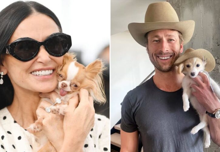 Demi Moore’s Tiny Chihuahua ‘Shoots Her Shot’ With Glen Powell’s Rescue Pup on Instagram