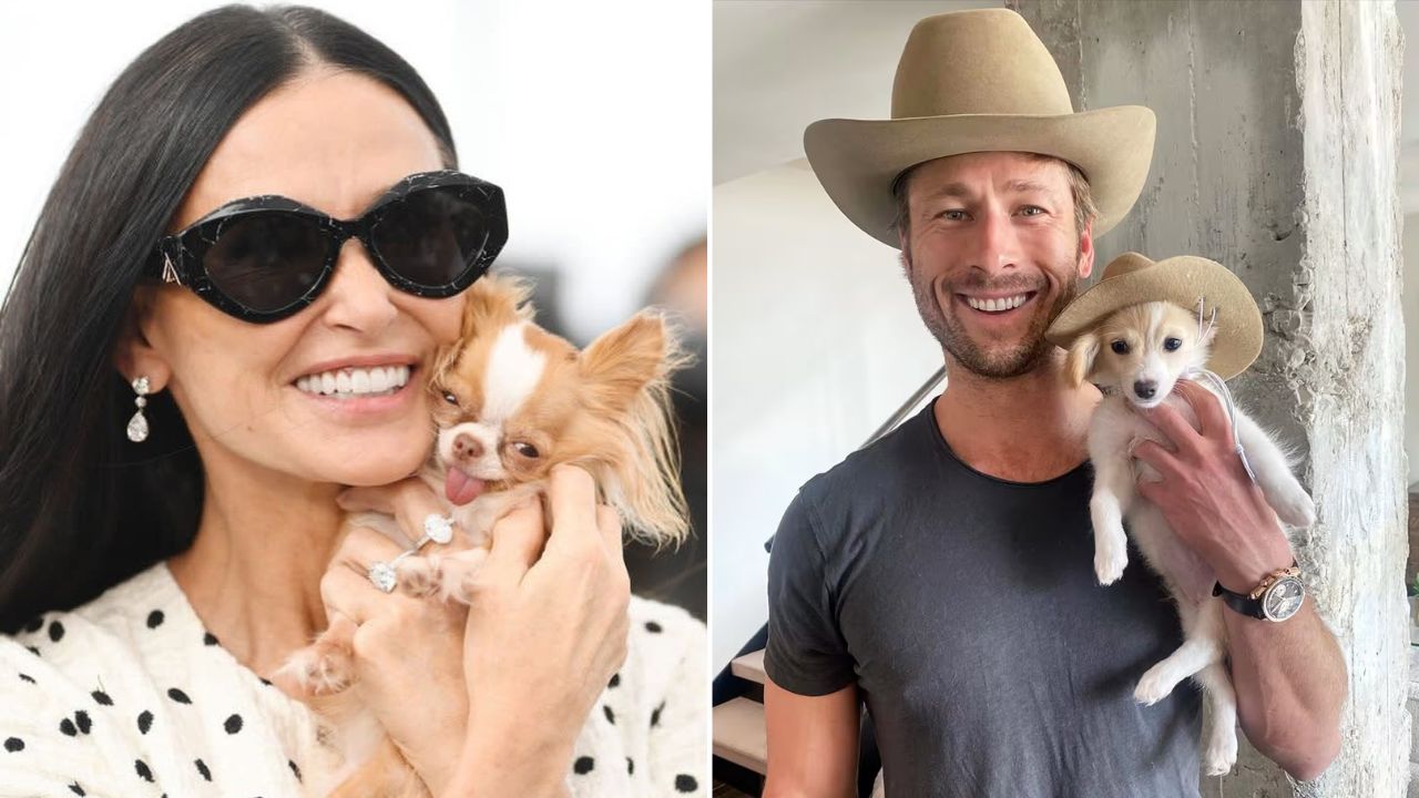 Demi Moore’s Tiny Chihuahua Pilaf Shoots Her Shot With Glen Powell’s Rescue Pup Brisket on Instagram