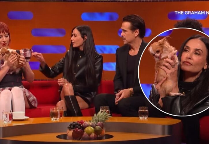 Demi Moore’s Tiny Dog Pilaf Takes Over ‘The Graham Norton Show’