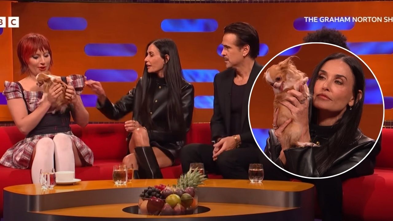 Demi Moore’s Tiny Dog Pilaf Takes Over The Graham Norton Show