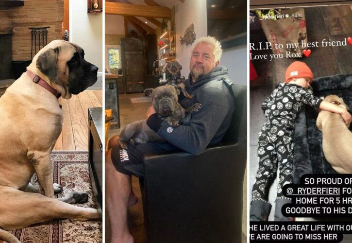 Guy Fieri and Son Ryder ‘Say Goodbye’ to Roxy, Their Family Mastiff and ‘Best Friend’