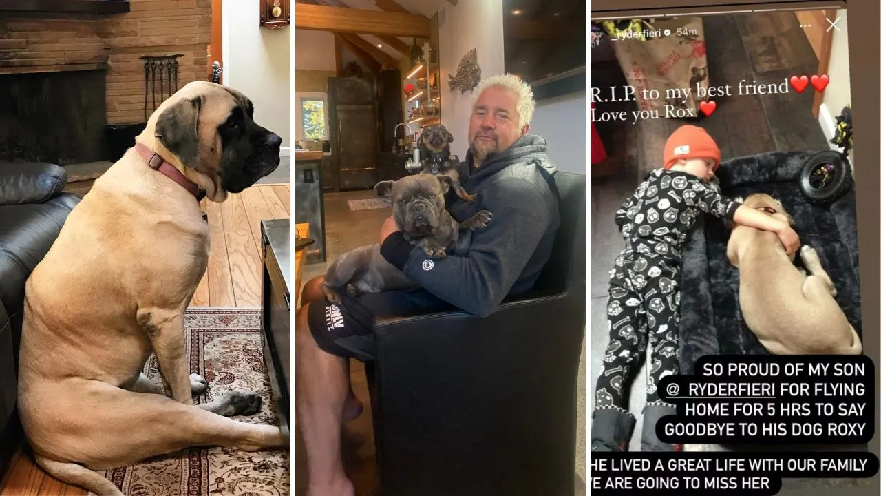 Guy Fieri and Son Ryder ‘Say Goodbye’ to Roxy, Their Family Mastiff and