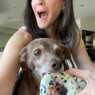 Jackie Tohn's pet Glen