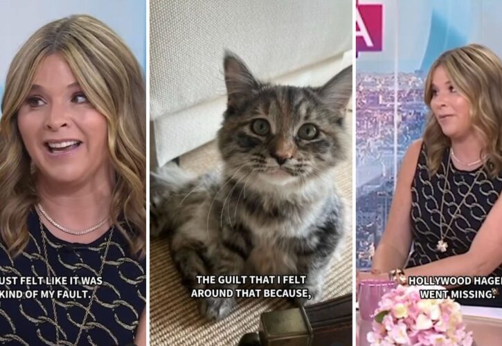 Jenna Bush Hager Adopts Kitten, After Months-Long Search for Missing Cat