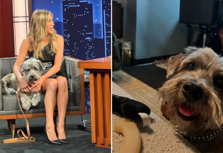 Jennifer Aniston’s Rescue Dog, Clyde, Makes His TV Debut To Promote New Book and Pet Charity