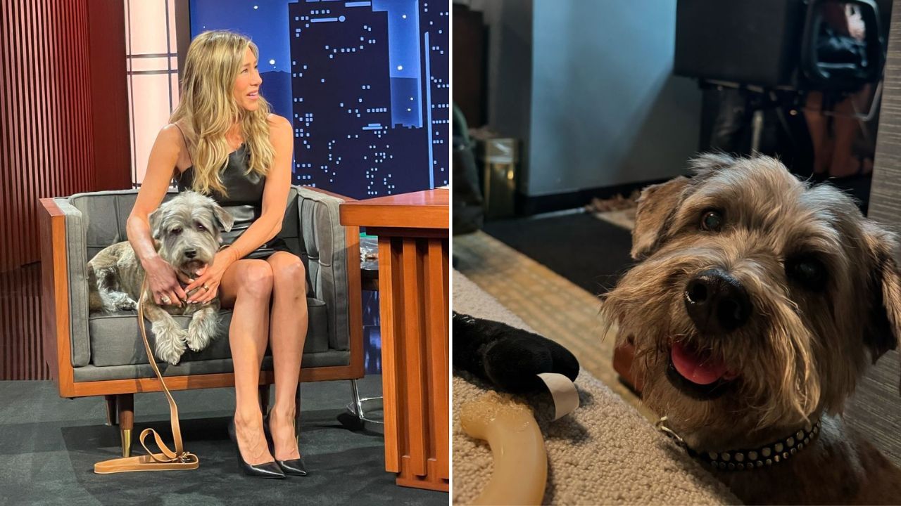 Jennifer Aniston's rescue dog, Clyde, makes his late night debut to promote new book and pet charity