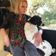 Joanna Lumley's pet Judy