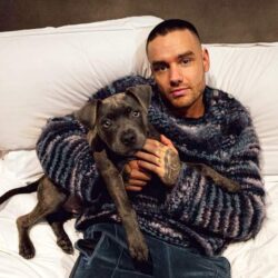 Liam Payne Pets