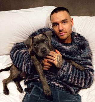 Liam Payne Pets