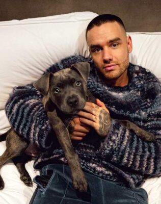 Liam Payne Pets