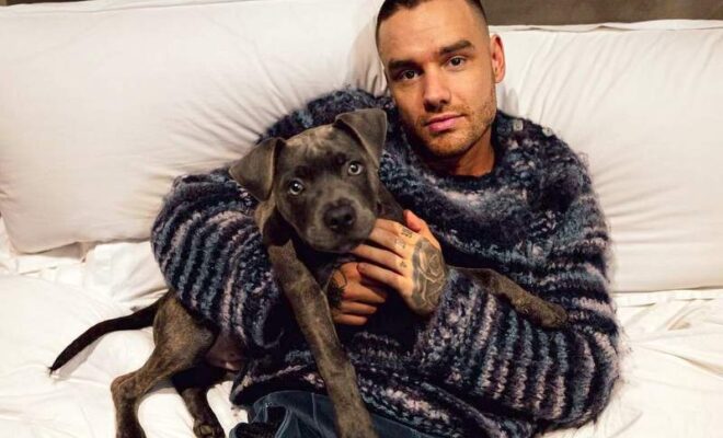 Liam Payne Pets