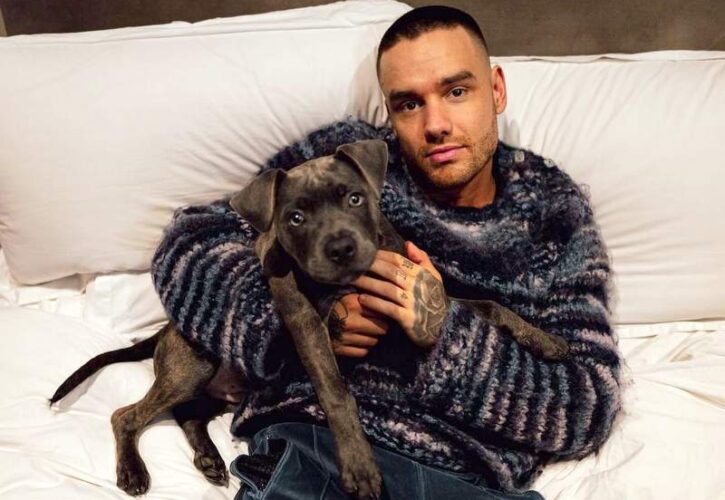 Liam Payne Pets