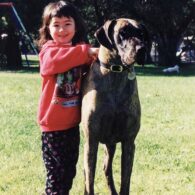 Natasha Liu Bordizzo's pet Great Dane