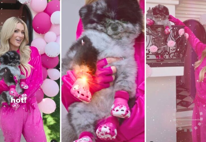 Paris Hilton’s Dogs Model New Croc Dog Clogs, Gives Tour of Her $325K Doggy Mansion