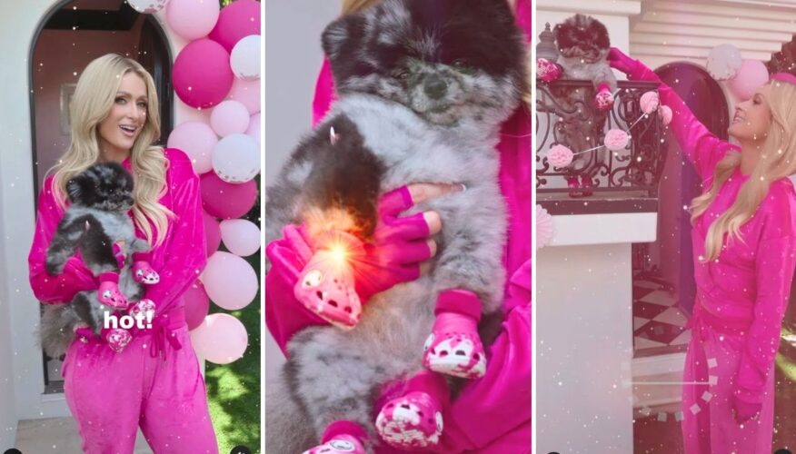 Paris Hilton’s Dogs Model New Croc Dog Clogs, Gives Tour of Her $325K Doggy Mansion