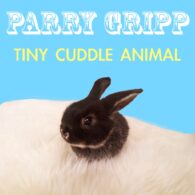 Parry Gripp's pet Rabbit