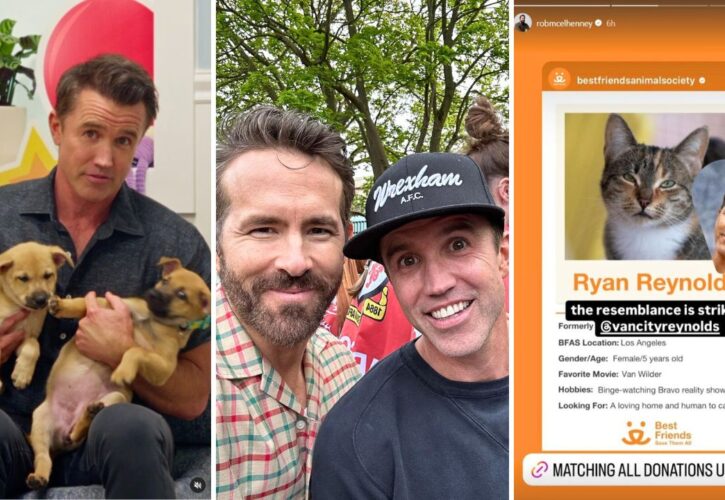 A Bunch of Rescue Animals Were Named After Ryan Reynolds to Celebrate His Birthday (And Help Get Them Adopted)