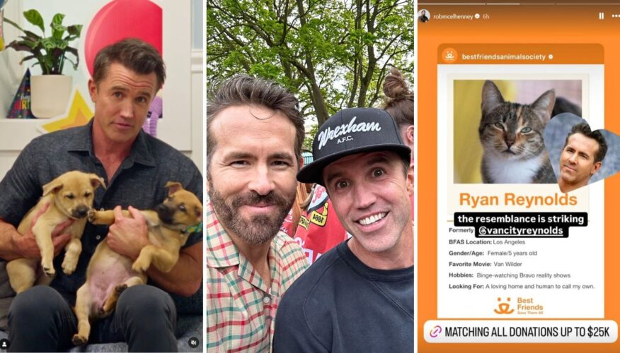 A Bunch of Rescue Animals Were Named After Ryan Reynolds to Celebrate His Birthday (And Help Get Them Adopted)