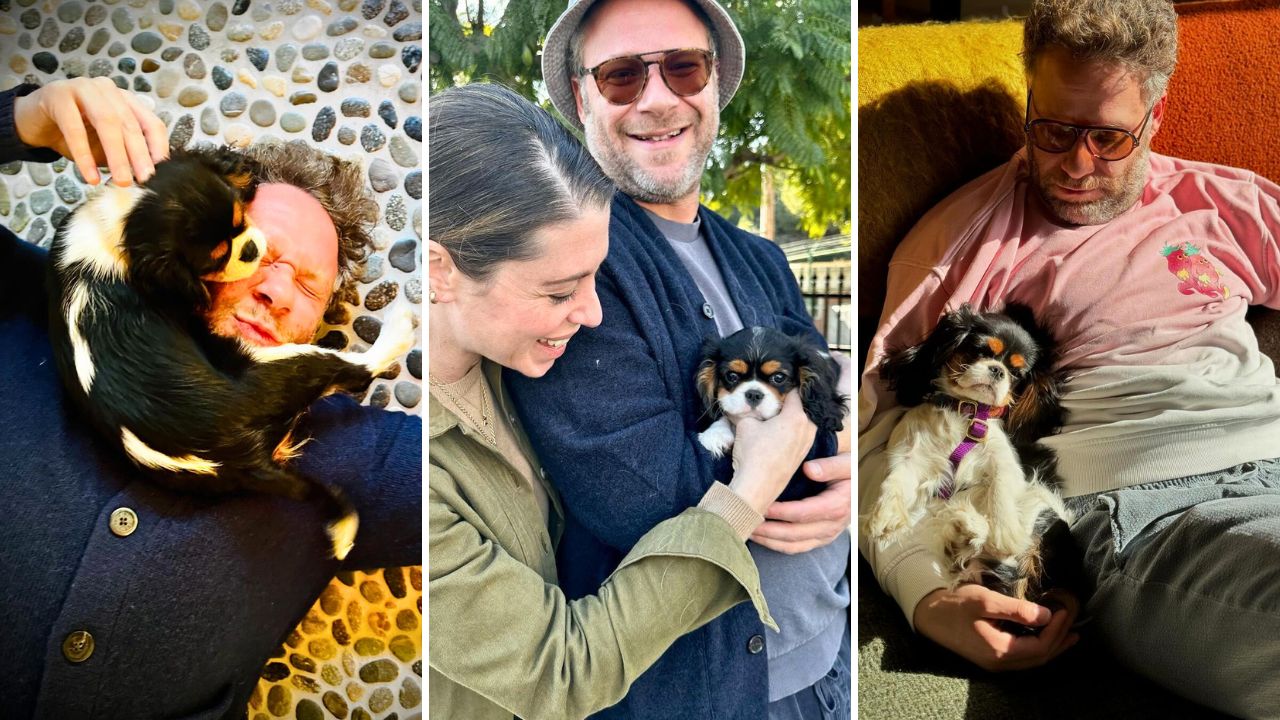 Seth Rogen and Lauren Miller Celebrate Their Dog Ava’s First Birthday