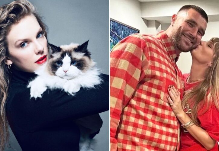 Taylor Swift and Travis Kelce Plan On Adopting! (A Rescue Kitten)