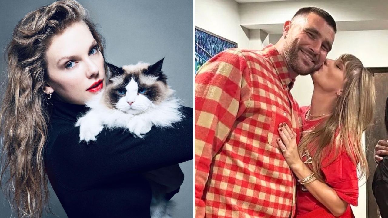 Taylor Swift and Travis Kelce Plan On Adopting a Rescue Kitten