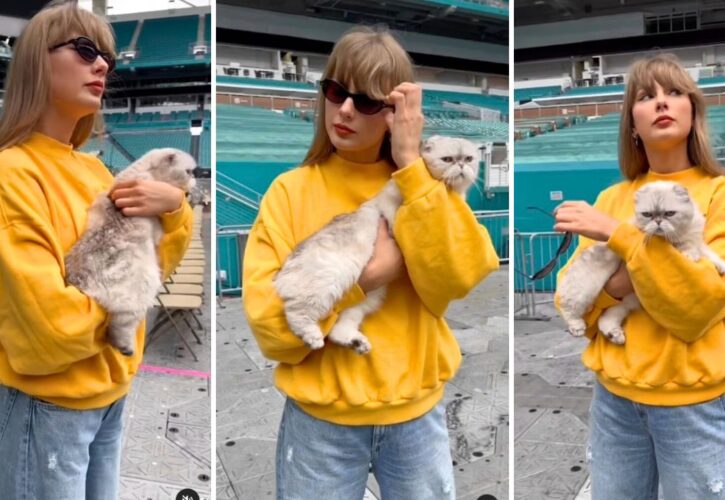 Taylor Swift busts out her cat Olivia Benson to kick off the Eras Tour's last leg 'Back in the Office'