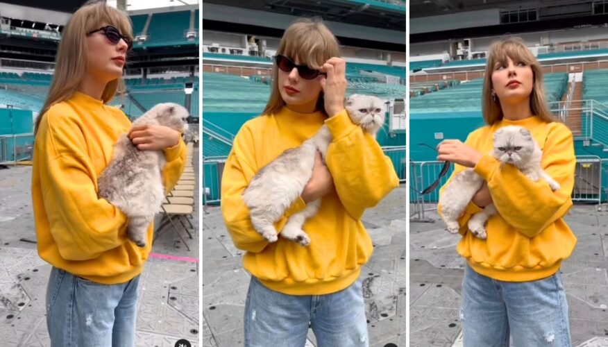 Taylor Swift busts out her cat Olivia Benson to kick off the Eras Tour’s last leg ‘Back in the Office’