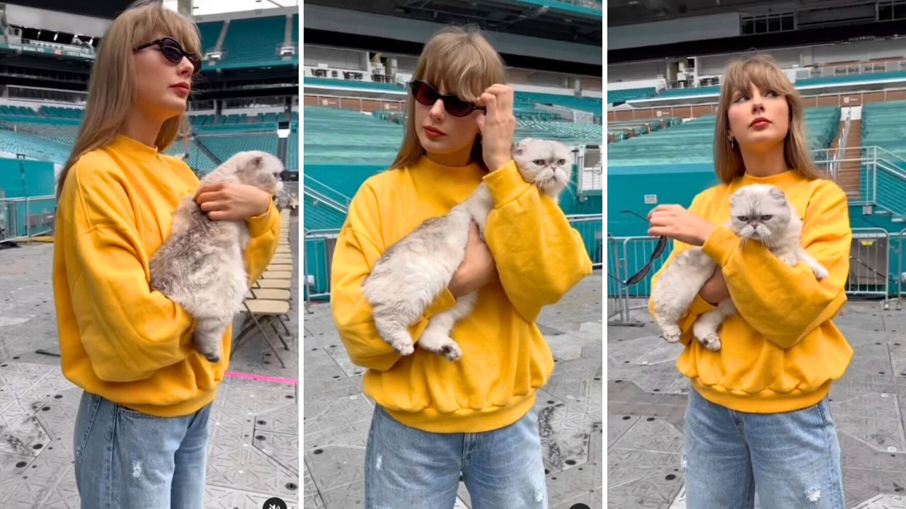 Taylor Swift and her cat Olivia Benson announce the Eras Tour's last leg