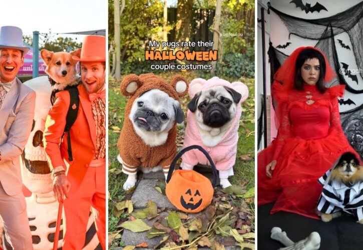 Top 10 Dog Influencer Halloween Instagram Posts – 2024 Edition