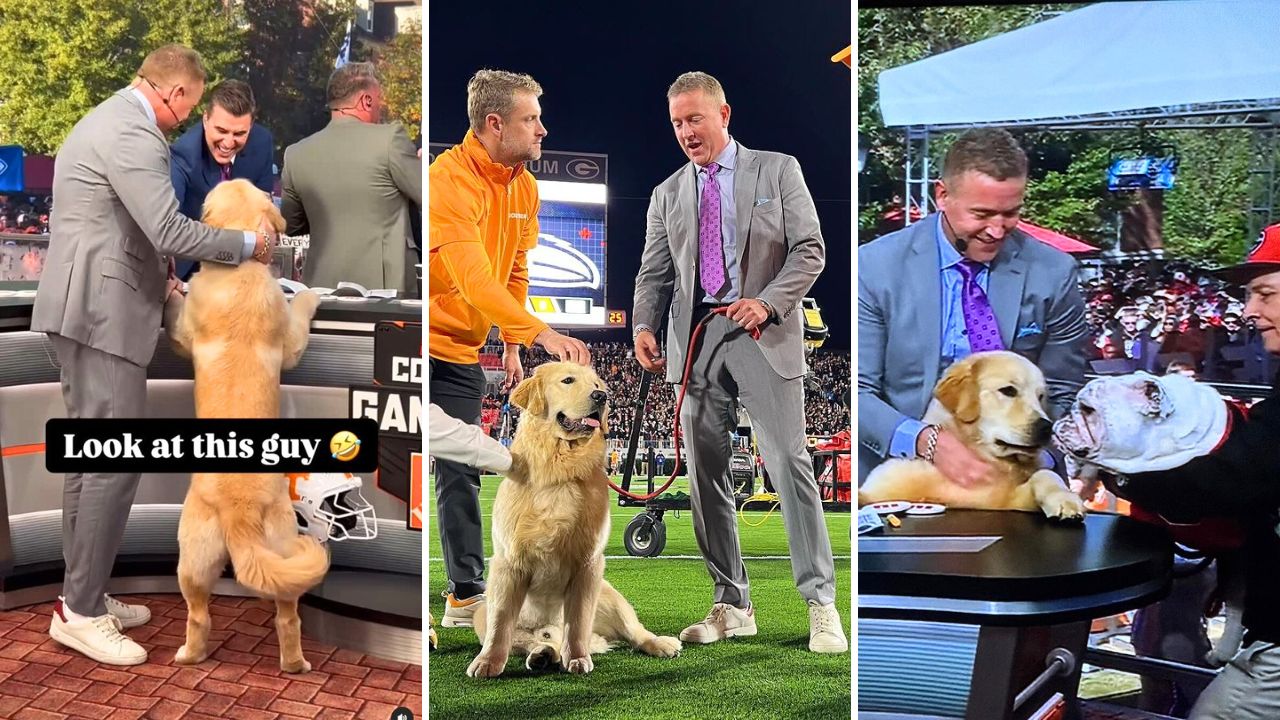 After Ben’s Death Kirk Herbstreits Dog Peter Has Stepped in as a College GameDay Host