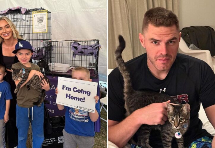 After World Series Win, Freddie Freeman Celebrated by Adopting a Cat Named Champ