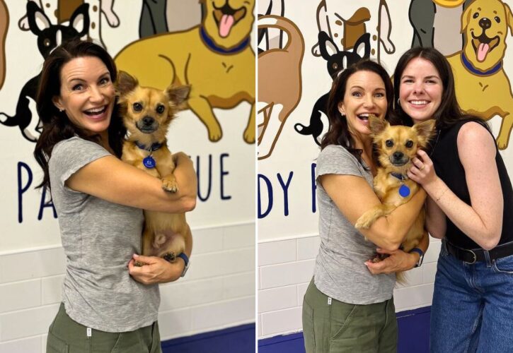 ‘And Just Like That,’ Kristin Davis Adopts Dog From Famous Foster Dog Mom Influencer