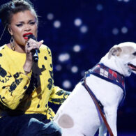 Andra Day's pet Lucia