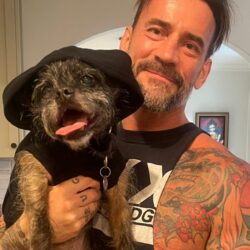 CM Punk Pets