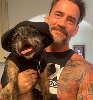 CM Punk Pets