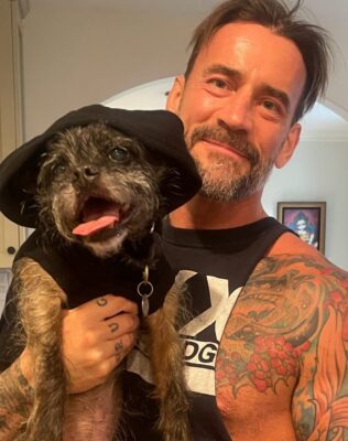 CM Punk Pets