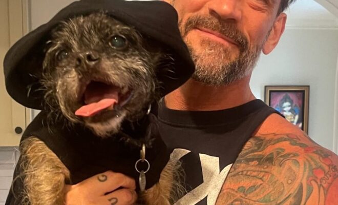 CM Punk Pets