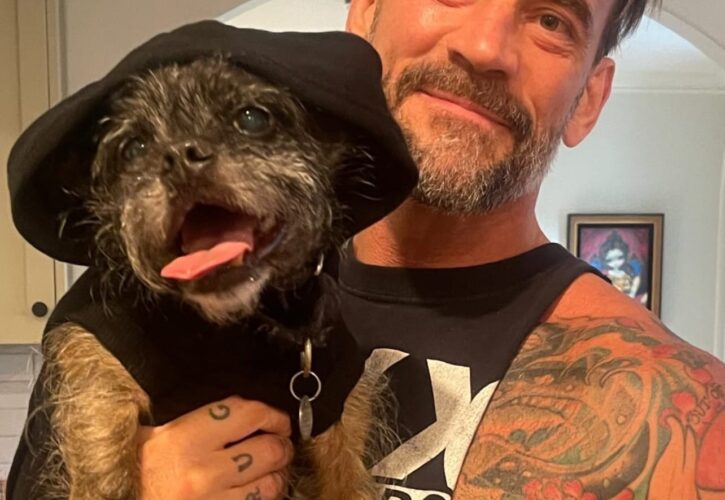 CM Punk Pets