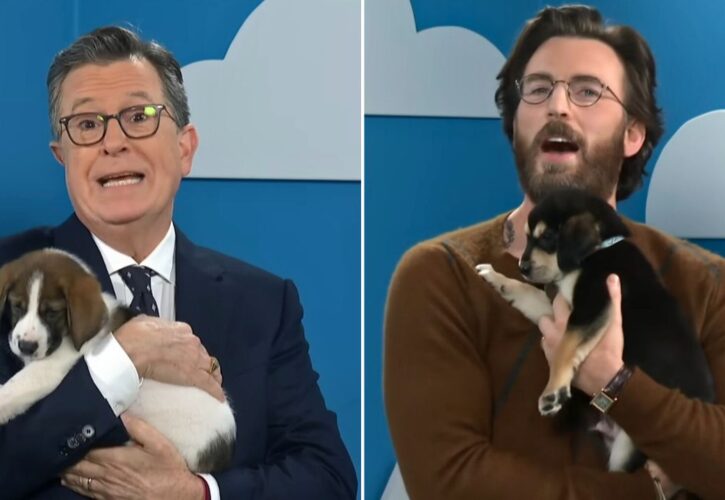 Chris Evans Uses His Charm to Help Rescue Dogs Get Adopted With Stephen Colbert