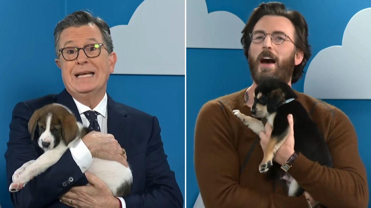 Chris Evans Uses His Charm to Help Rescue Dogs Get Adopted With Stephen Colbert