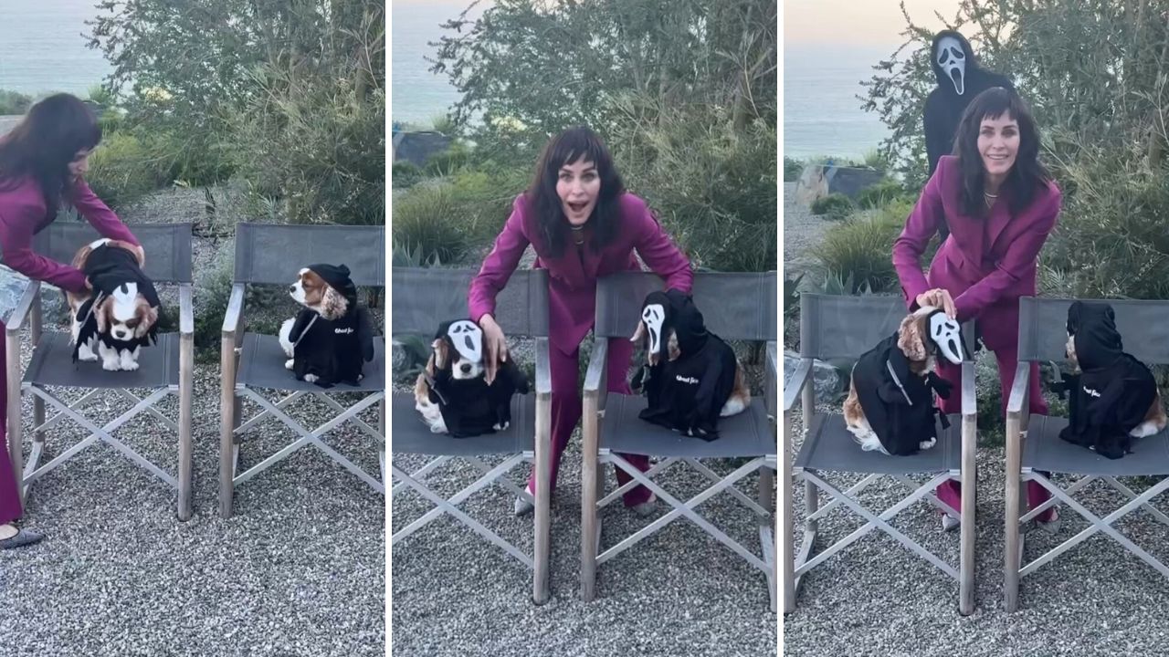 Courteney Cox Dresses up as Her Iconic Scream Role With Her Two Cavalier King Charles Spaniels