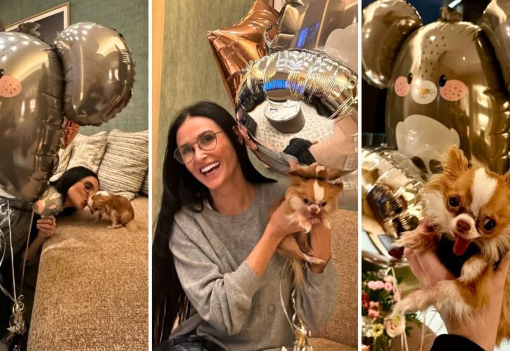 Demi Moore and Her Tiny Rescue Pup Pilaf Threw a Joint Birthday Party