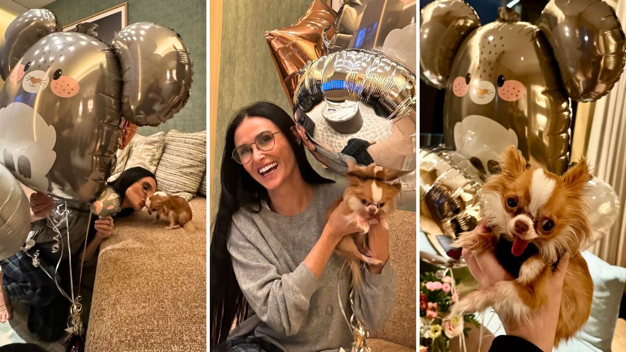 Demi Moore and Her Rescue Pup Pilaf Threw a Joint Birthday Party