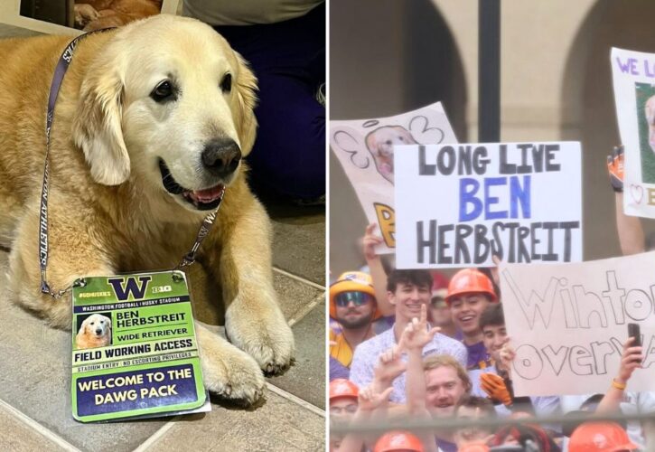 ESPN Host Kirk Herbstreit Posts Tear-Jerking Video Tribute to His Famous Service Dog Ben ‘America’s Best Friend'