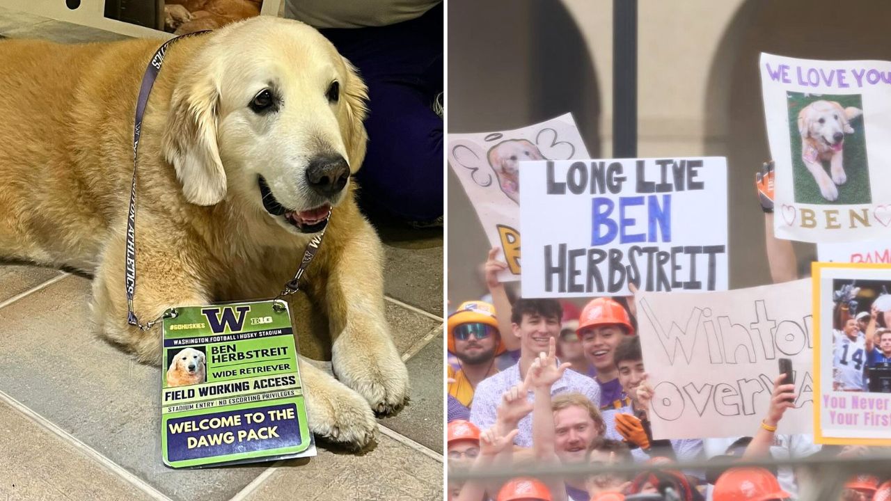 ESPN Host Kirk Herbstreit Posts Tear-Jerking Video Tribute to His Famous Service Dog Ben