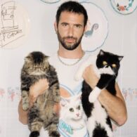 Jordan Firstman's pet Cats