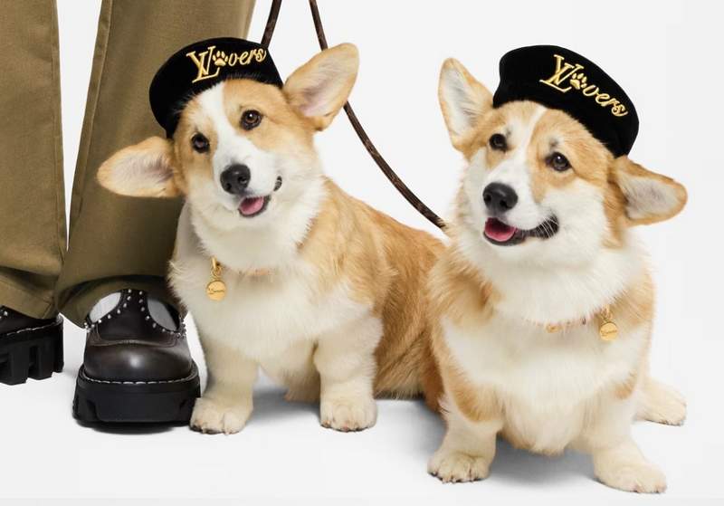 Louis Vuitton Dog LVers beret