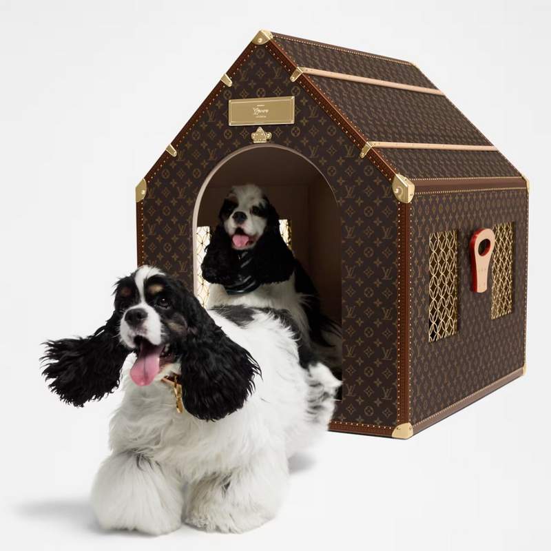 Louis Vuitton Dog LVers dog kennel trunk