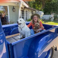 Nancy Cartwright's pet Finn and Biscuit