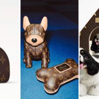 Pharrell Williams' pet Louis Vuitton Dog LVers Collection